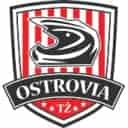 Relacja Na Żywo Arged Malesa Ostrów -  zielona-energia.com Włókniarz Częstochowa 63 15 2022 alt 128x128 1