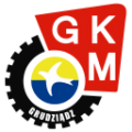 Team name - BAYERSYSTEM GKM GRUDZIĄDZ