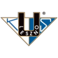 Team name - FOGO UNIA LESZNO